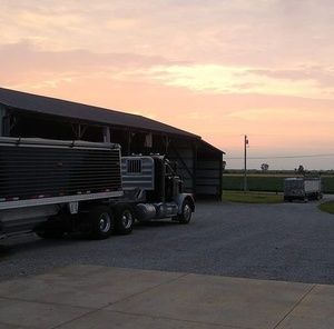 Meet your Posher, Jesse